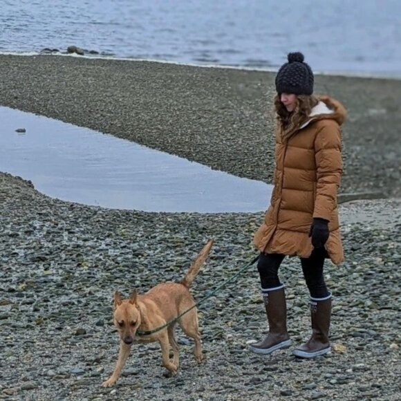 NEW REI Norseland Down Parka NWT XS Oak Brown Water Resistant Hooded Coat $229 - Picture 1 of 14